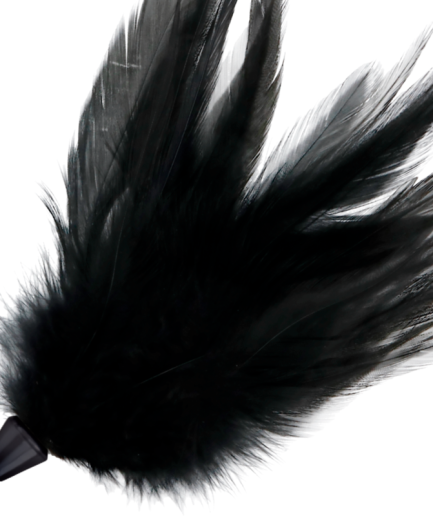 DARKNESS - PLUMA ESTIMULADORA NEGRO 17 CM