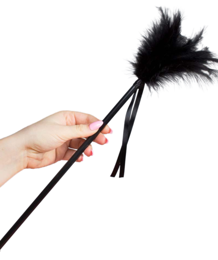 SECRETPLAY - PLUMERO PLUMAS NEGRO 40 CM