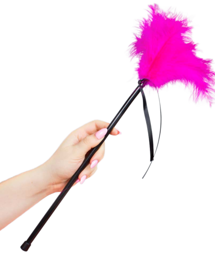 SECRETPLAY - PLUMERO PLUMAS ROSA 40 CM