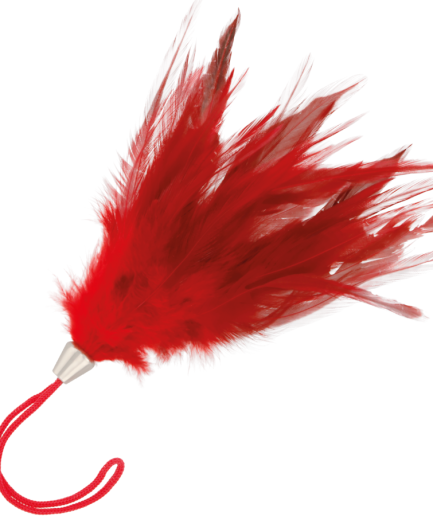 DARKNESS - PLUMA ESTIMULADORA ROJO 17CM