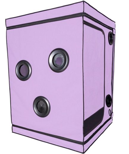 SECRET DOME - KINK CLUB CABINA SCANDALE MORADO